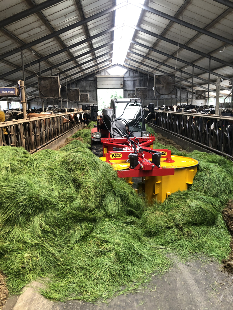 Image de Grass Divider