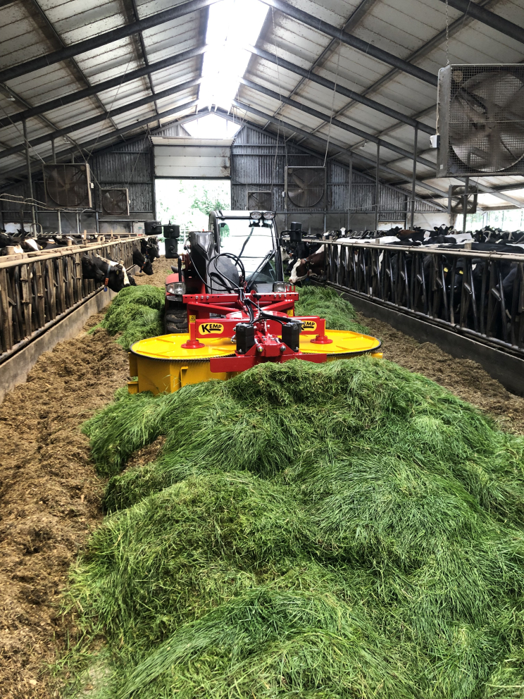 Image de Grass Divider