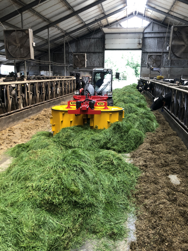 Image de Grass Divider