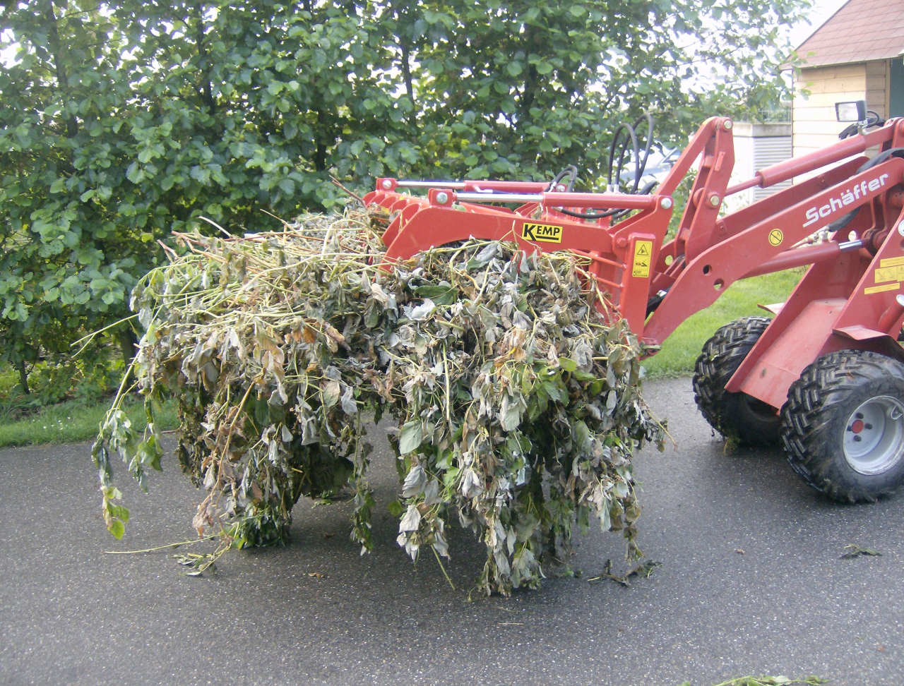 Image de Manure Fork